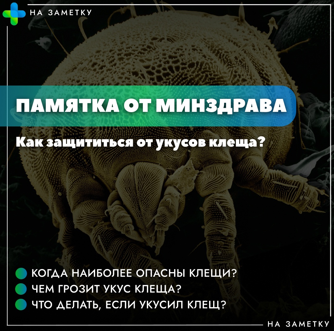 Как защититься от клещей?.