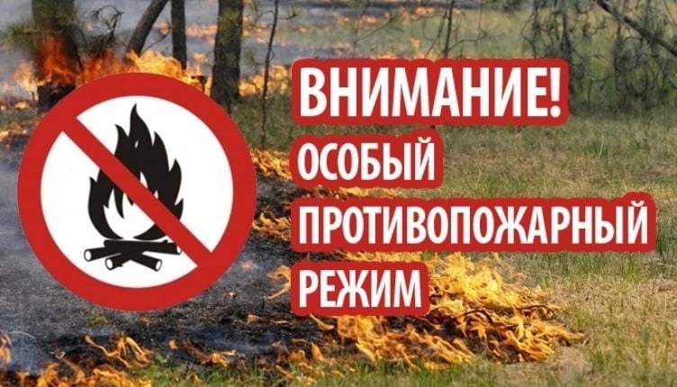 В Ижемском районе вводится особый противопожарный режим.