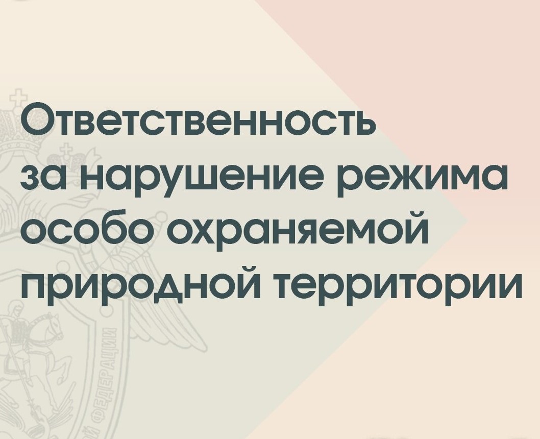 Ответственность за нарушение режима охраны и использования особо охраняемых природных территорий.