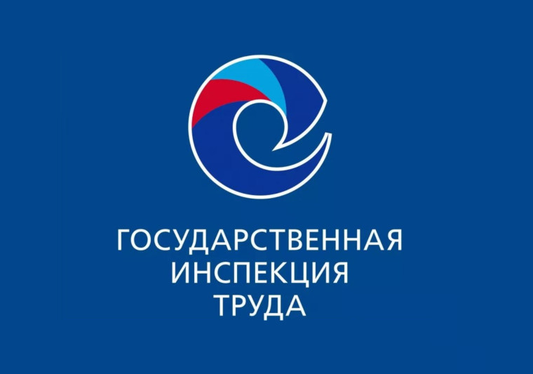 Государственная инспекция труда отвечает. Государственная инспекция труда отвечает.