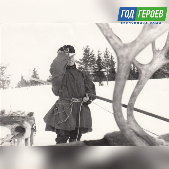«Катюша» на упряжке. «Катюша» на упряжке.