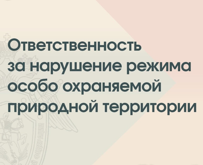 Ответственность за нарушение режима охраны и использования особо охраняемых природных территорий. Ответственность за нарушение режима охраны и использования особо охраняемых природных территорий.